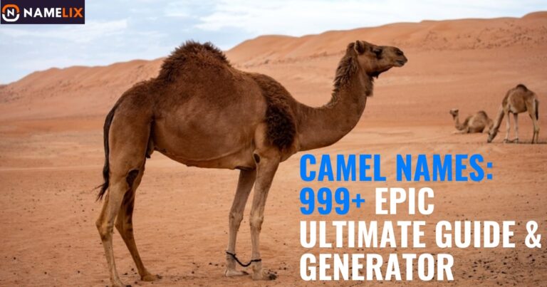 Camel Names: 999+ Epic Ultimate Guide & Generator