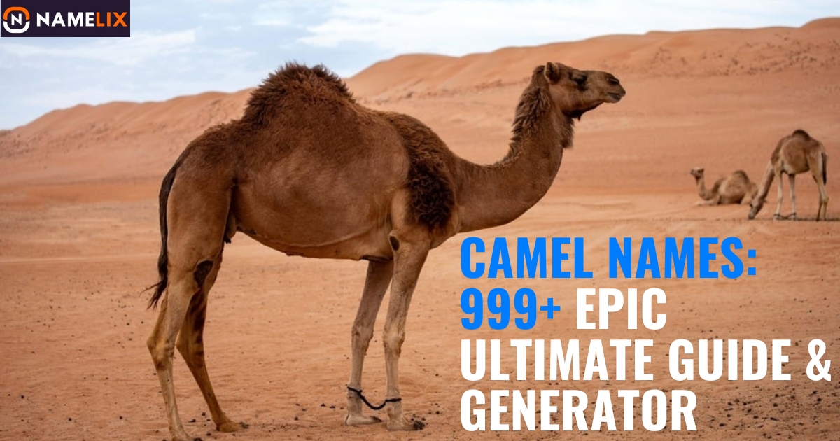Camel Names: 999+ Epic Ultimate Guide & Generator
