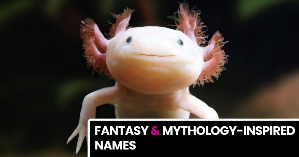 Fantasy & Mythology-Inspired Names