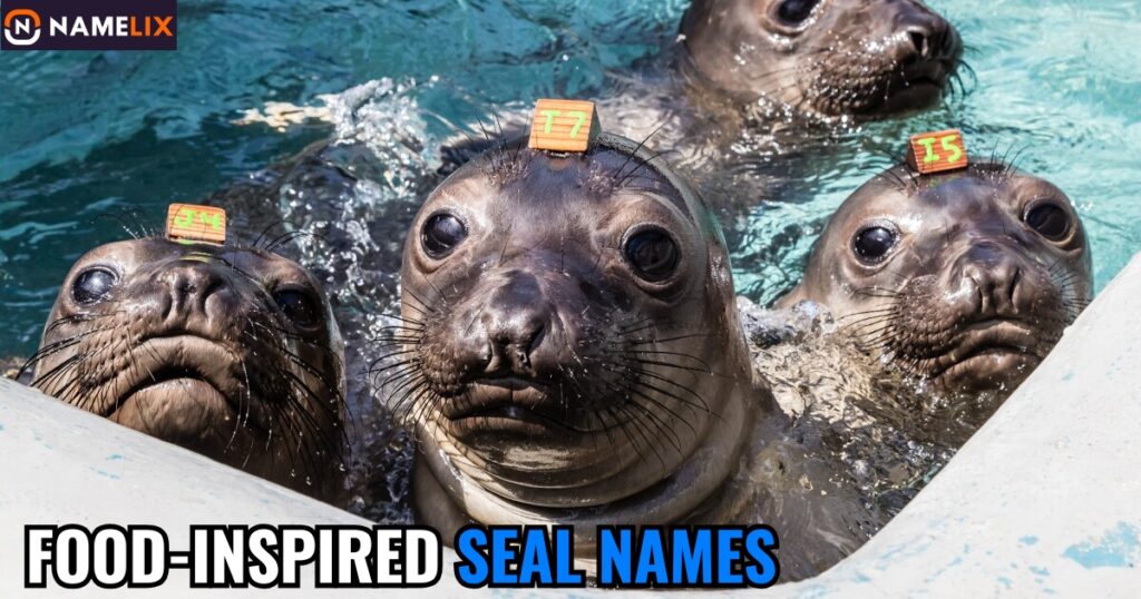 Food-Inspired Seal Names