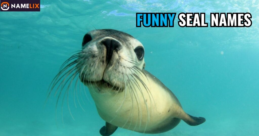 Funny Seal Names