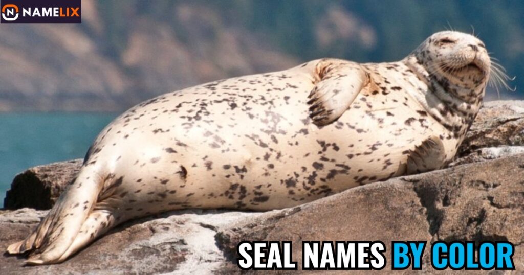Seal Names by Color